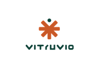 SV Vitruvio